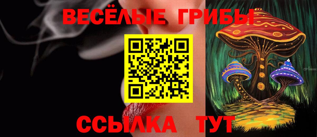 Псилоцибиновые грибы ЛСД Дербент