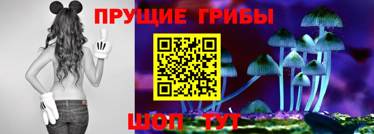 Псилоцибиновые грибы прущие грибы  Вход с VPN  Галлюциногенные грибы Cubensis  Дербент 